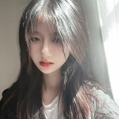 北极熊诺姆